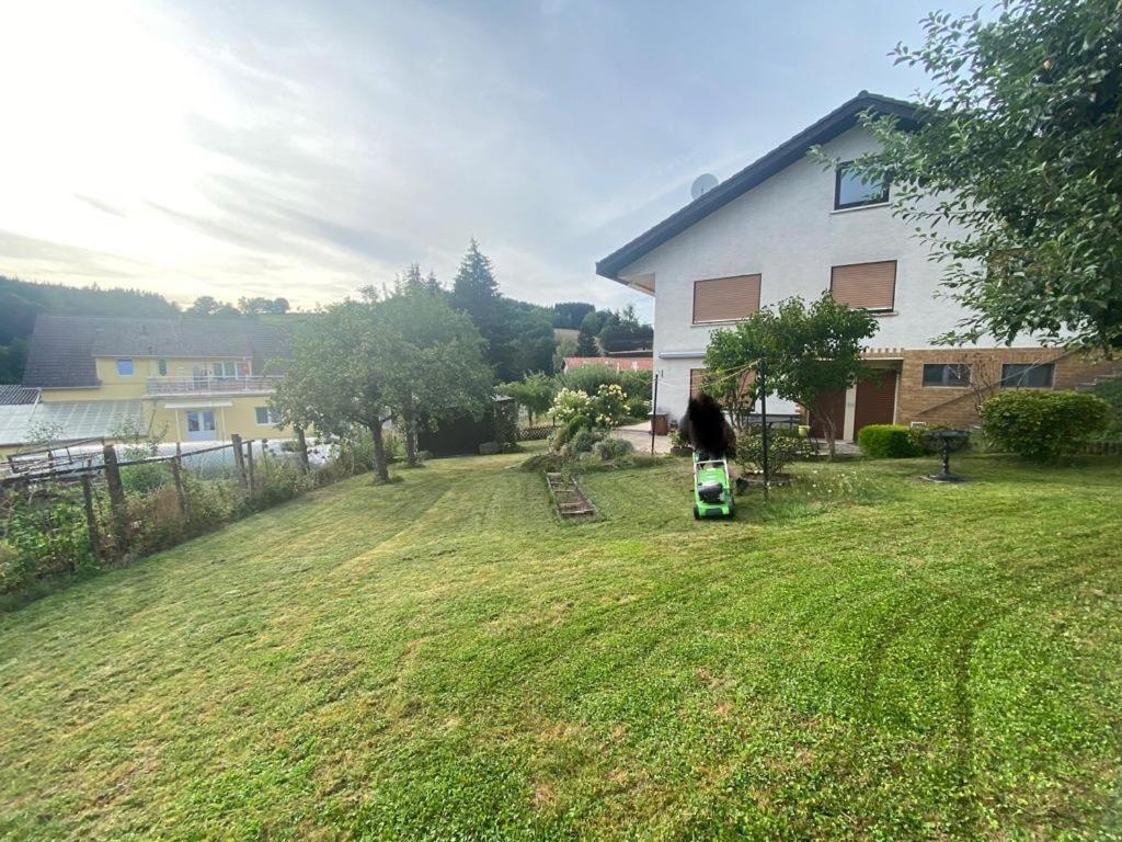 Ferien- Und Monteurwohnung Zum Waldblick Exteriér fotografie